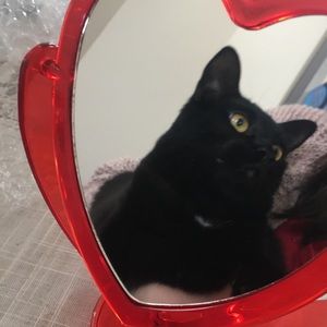 Meet your Posher, Em